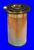 MASSEY FER 1639413M1 Air Filter
